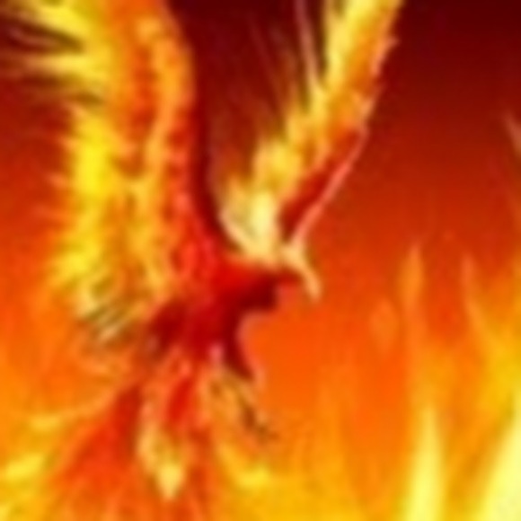 Meet your Posher, Robert - Picture 1 of 1